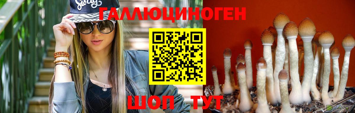 Кандалакша  Псилоцибиновые грибы прущие грибы  Вход с VPN 