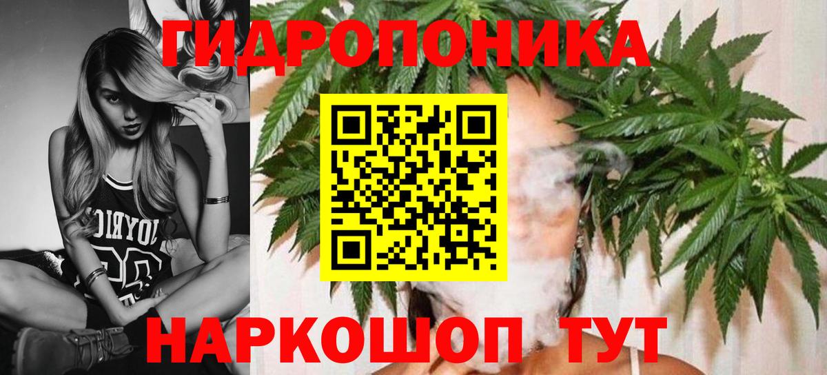 Бошки Шишки индика  Марихуана гибрид  Бошки Шишки тримм  Вход с VPN  Кандалакша 